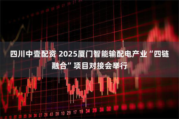 四川中壹配资 2025厦门智能输配电产业“四链融合”项目对接会举行
