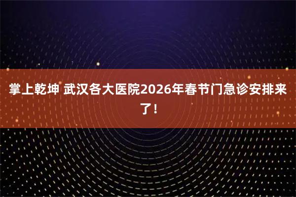 掌上乾坤 武汉各大医院2026年春节门急诊安排来了！